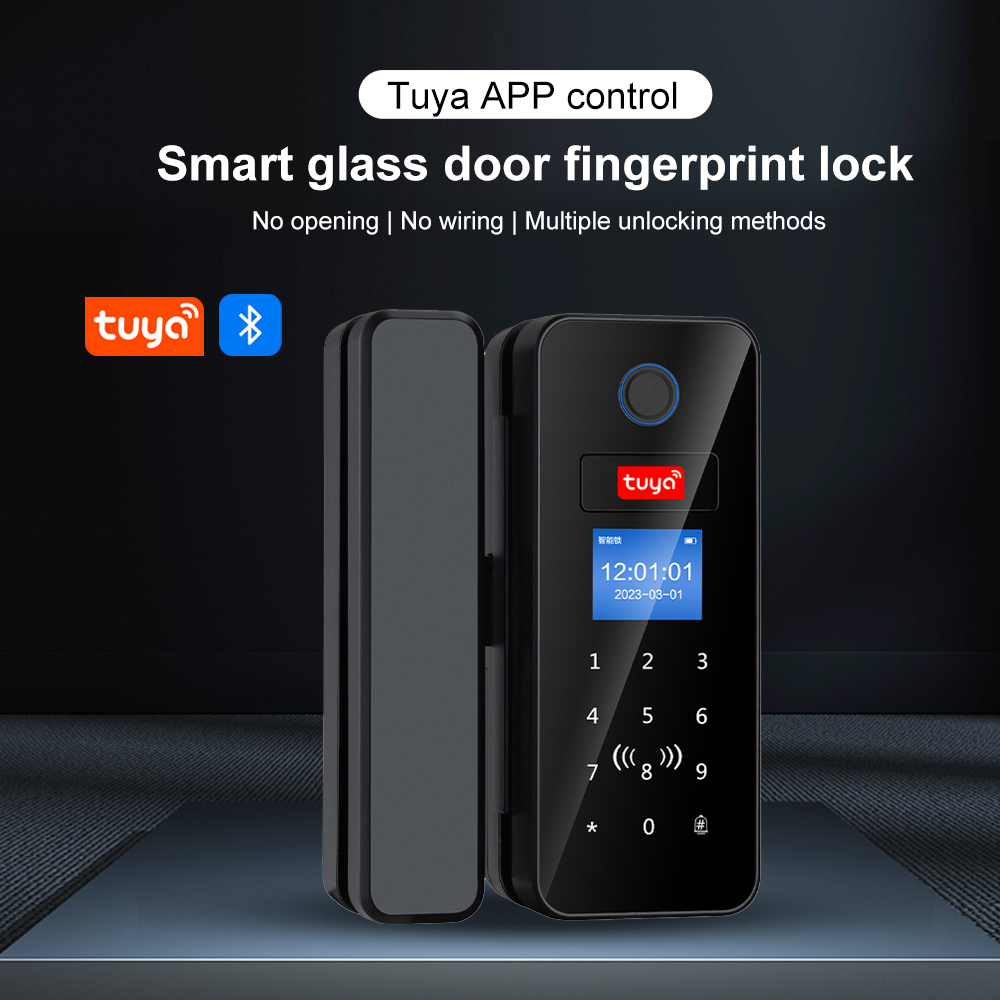 Double Hook Smart Glass Door L - огляд і ціна Home Security Keypad