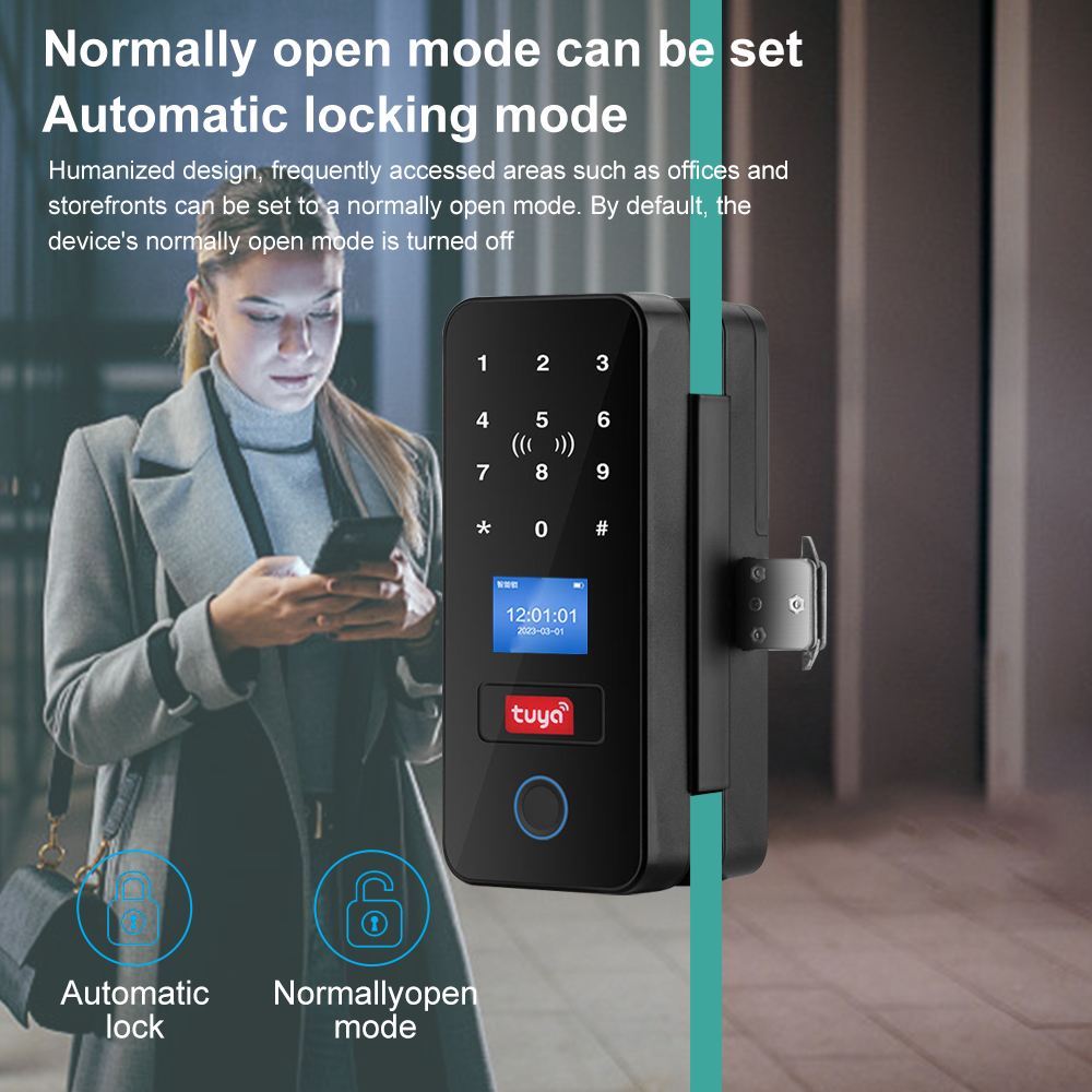 Double Hook Smart Glass Door L - огляд і ціна Home Security Keypad