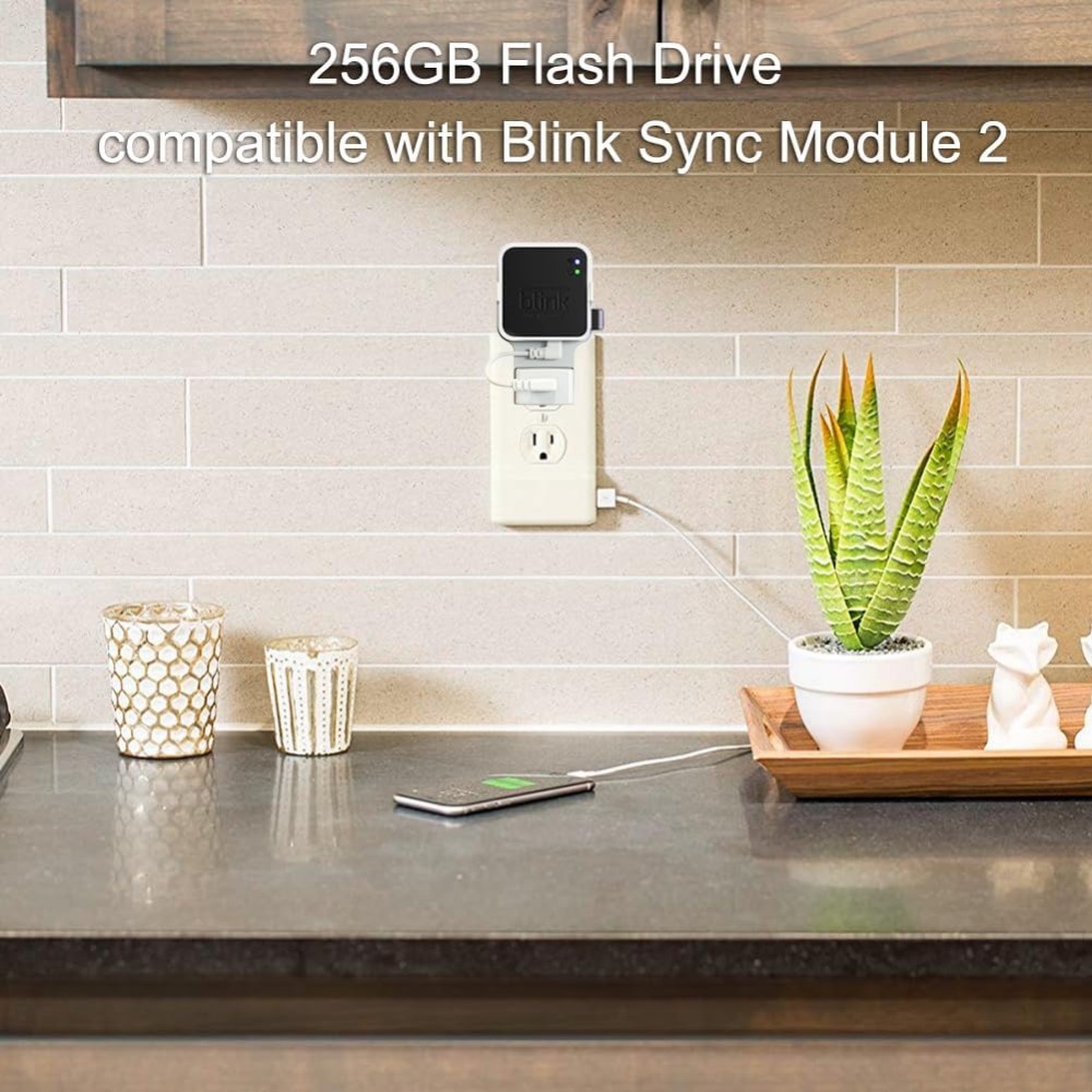 256GB USB Flash Drive with Out - огляд і ціна Home Security Images