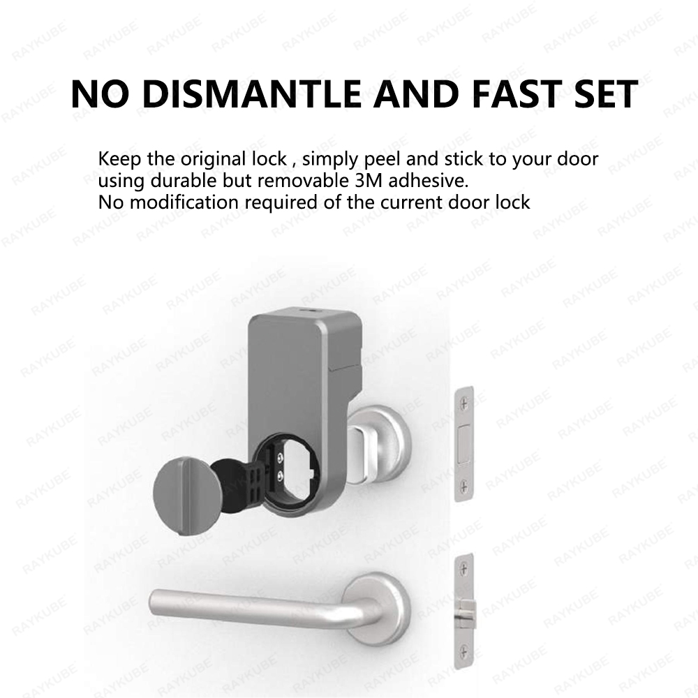 New RAYKUBE A1 Ultra Tuya BLE  - огляд і ціна Home Security Keypad